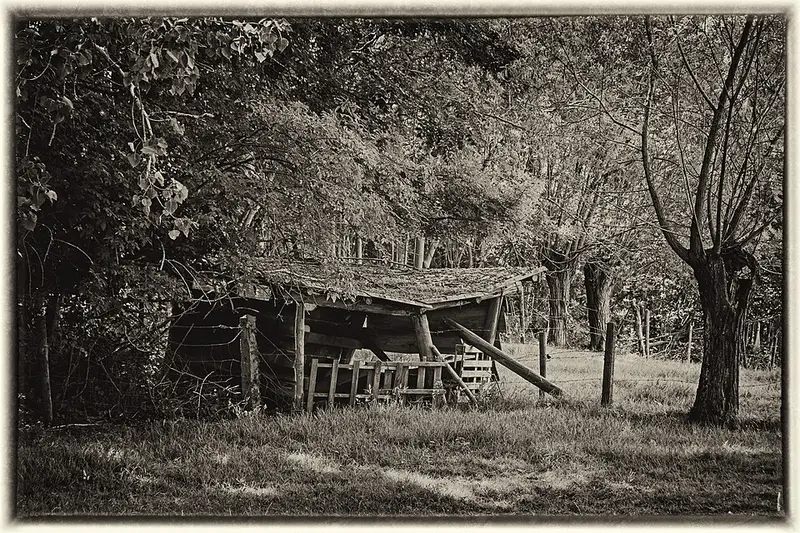 Vendre sa voiture à Asse - Brabant flamand