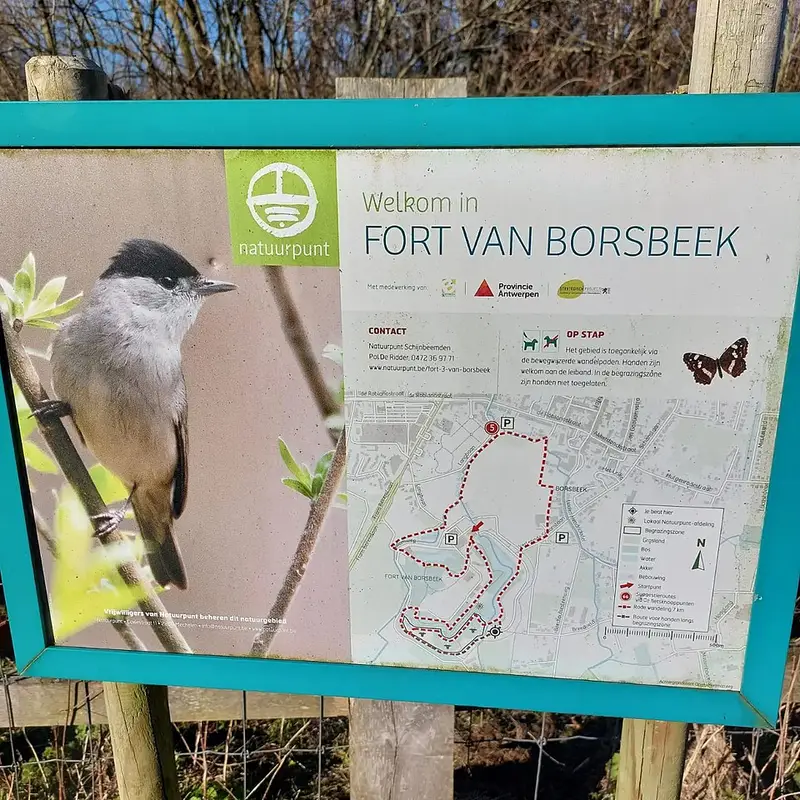 Vendre sa voiture à Borsbeek - Anvers