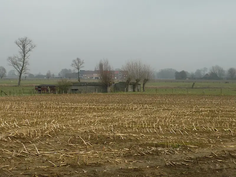 Vendre sa voiture à Deinze - Flandre-Orientale
