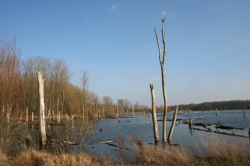 Vendre sa voiture à Hensies - Hainaut