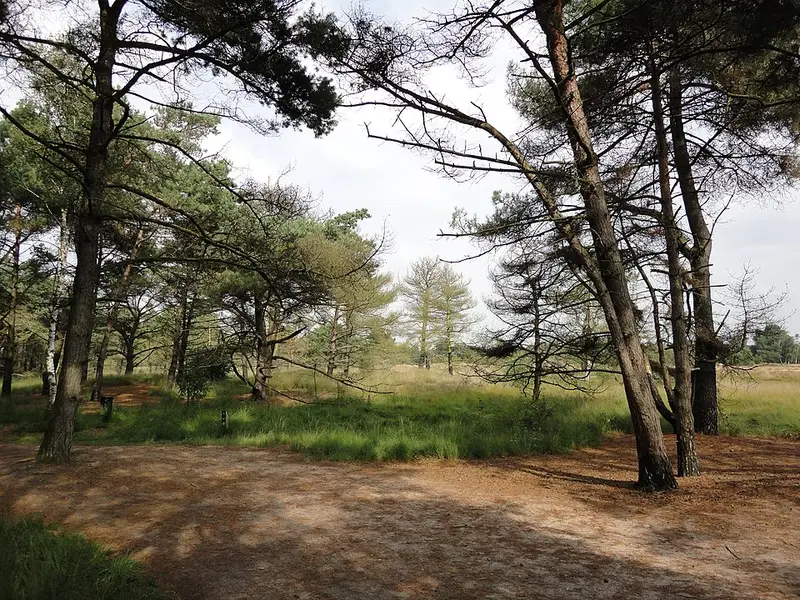 Vendre sa voiture à Kalmthout - Anvers