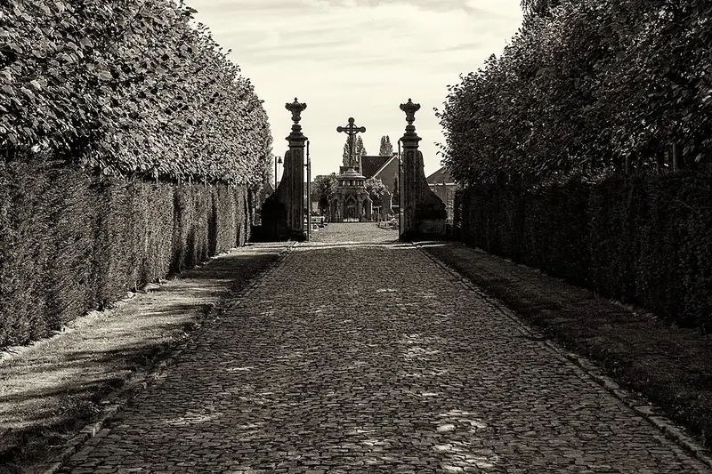 Vendre sa voiture à Lebbeke - Flandre-Orientale