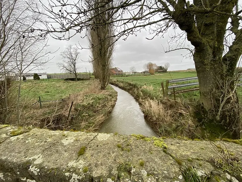 Vendre sa voiture à Mesen - Flandre-Occidentale