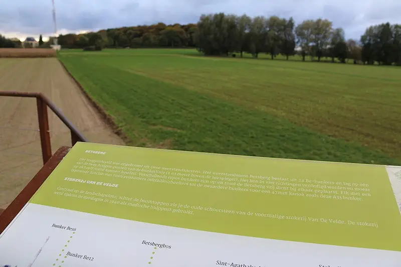 Vendre sa voiture à Oosterzele - Flandre-Orientale