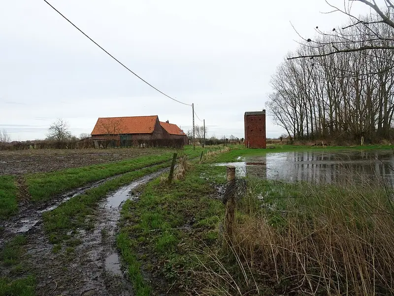 Vendre sa voiture à Wervicq - Flandre-Occidentale